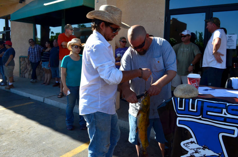 Imperial Valley Catfish Tournament Photos