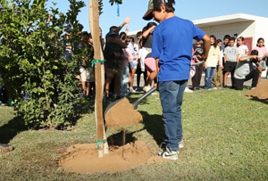 A shady future takes root: IID grant plants 1,000 trees to cool down Imperial, Coachella Valleys