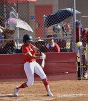 Softball: Tigers claw their way to D-III championship appearance