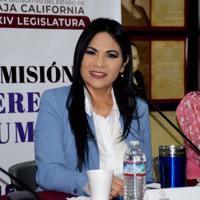 MEXIӽ紫ýLI BRIEFS: Lawmakers demand report on surveillance cameras