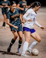 GIRLS' SOCCER: Vikings and Eagles meet in first match up since two seasons past