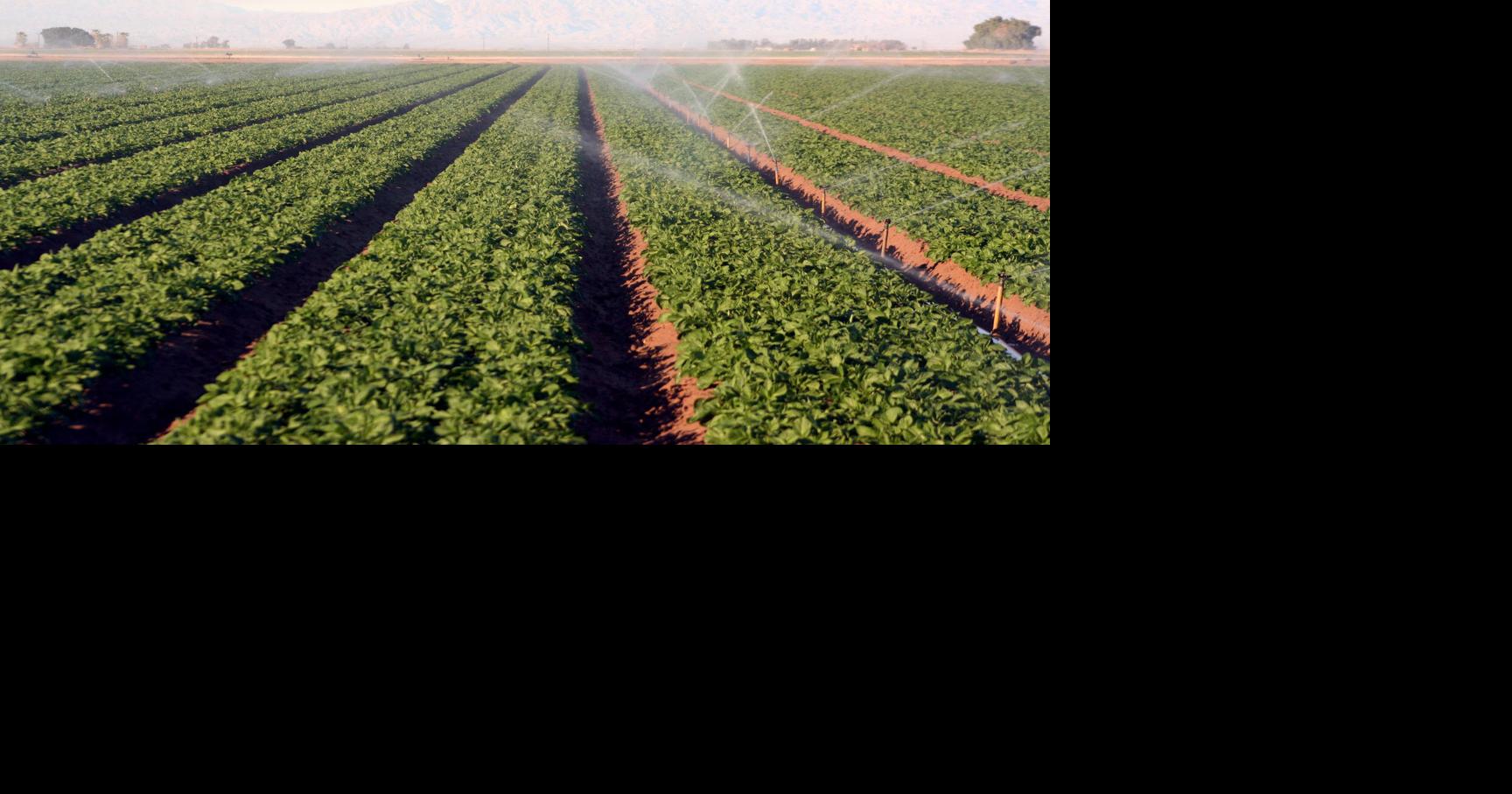 Heat waves and drought: New report highlights rising toll of natural disasters on U.S. food supply