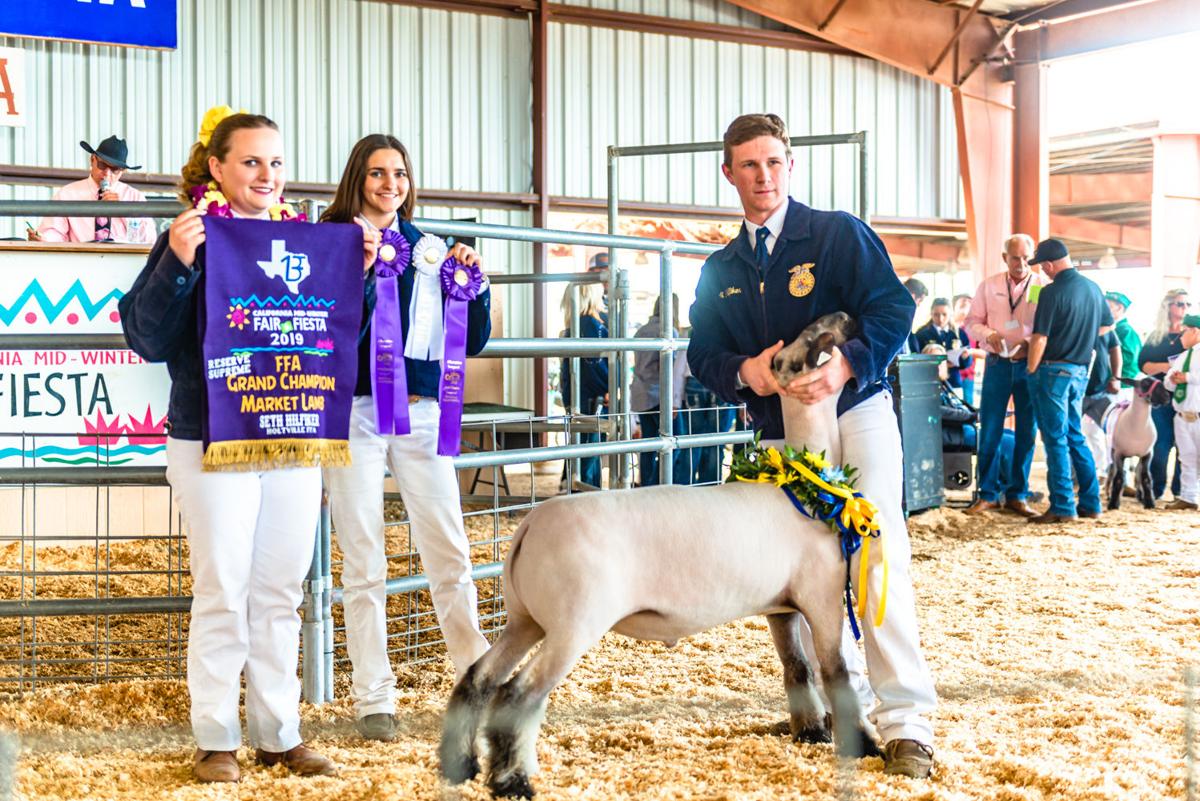 Youth Reap Benefits Of Hard Work At Livestock Auction Local News