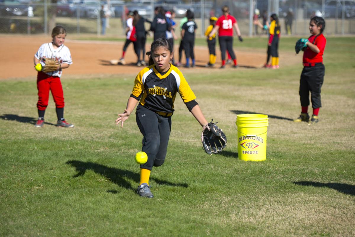IVC Teaches Young Players The True Meaning Of Softball Local Sports