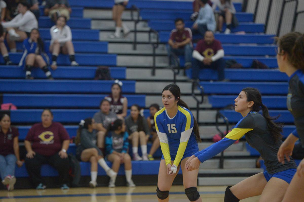 Calexico vs Brawley Volleyball Photos