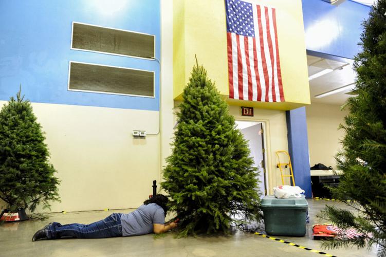 This Week in Pictures Dec. 511 Photos