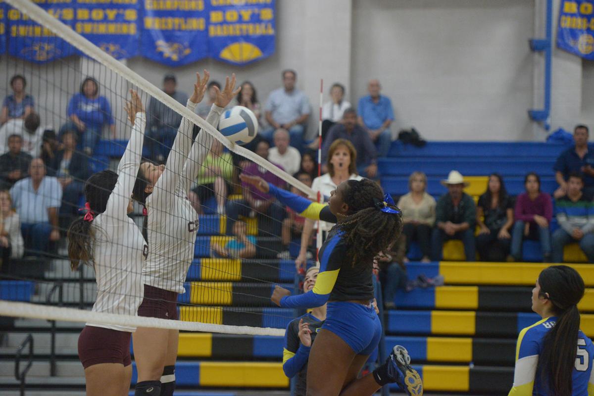 Calexico vs Brawley Volleyball Photos