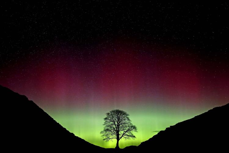 Britain Sycamore Gap