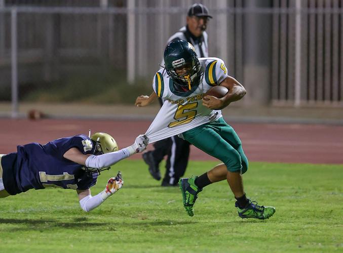 FOOTBALL PLAYOFFS: Palo Verde Yellowjackets still a-buzz in Division IV,  look to sting Coronado, Sports