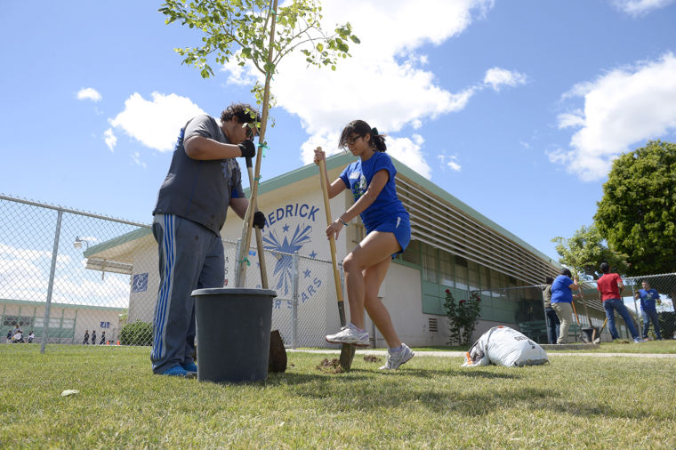 Central Union High School’s Green Team plants trees at Hedrick