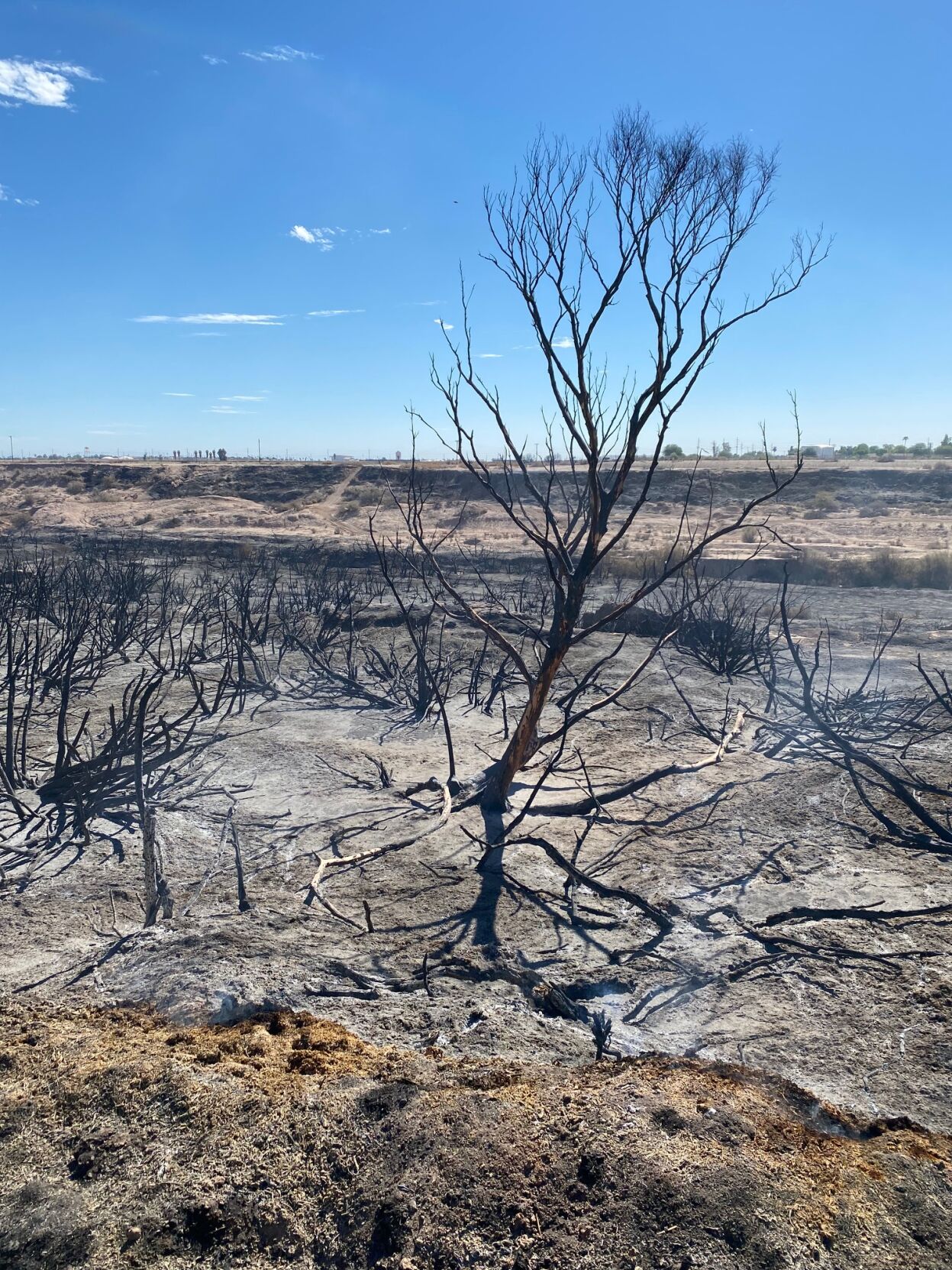 Investigation ongoing into Seeley fire Local News