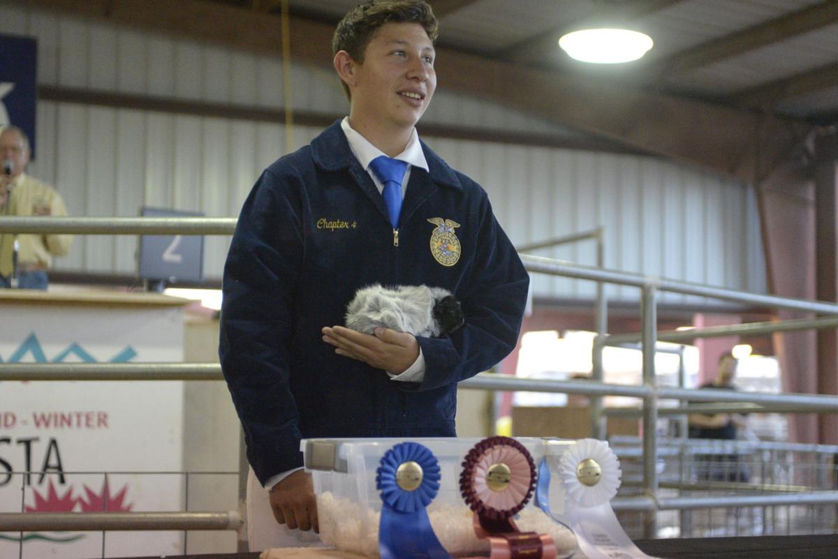 Small animal auction at the California Mid-Winter Fair & Fiesta