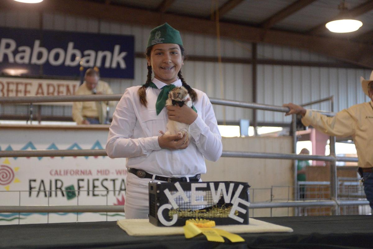Small animal auction at the California Mid-Winter Fair & Fiesta