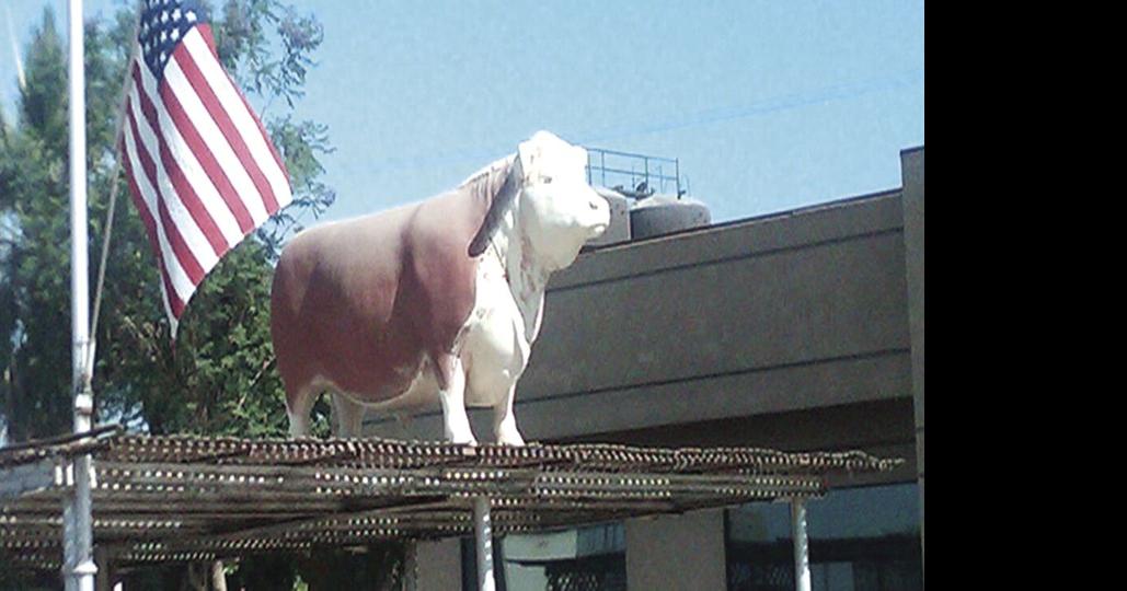 Quest for excellence never ends at Foster Feed Yard Local News