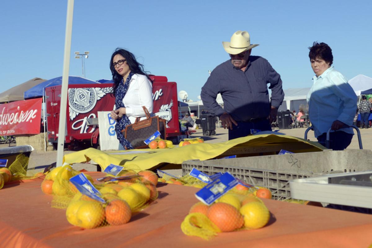 Citrus Festival invites families from all over the Valley Local News