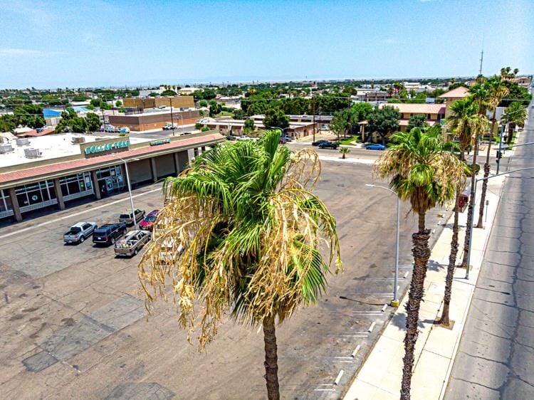 IID elige a exsubsecretario del Interior para reforzar presencia federal en temas de agua y energía – Imperial Valley Press Online
