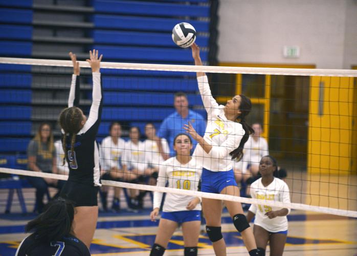 Week in Pictures Oct. 25Nov. 1 Photos