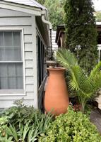 Be a weather-watching gardener