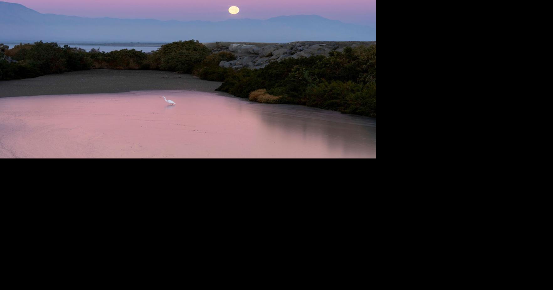 California State Parks seeks public input on future of Salton Sea Recreation Area