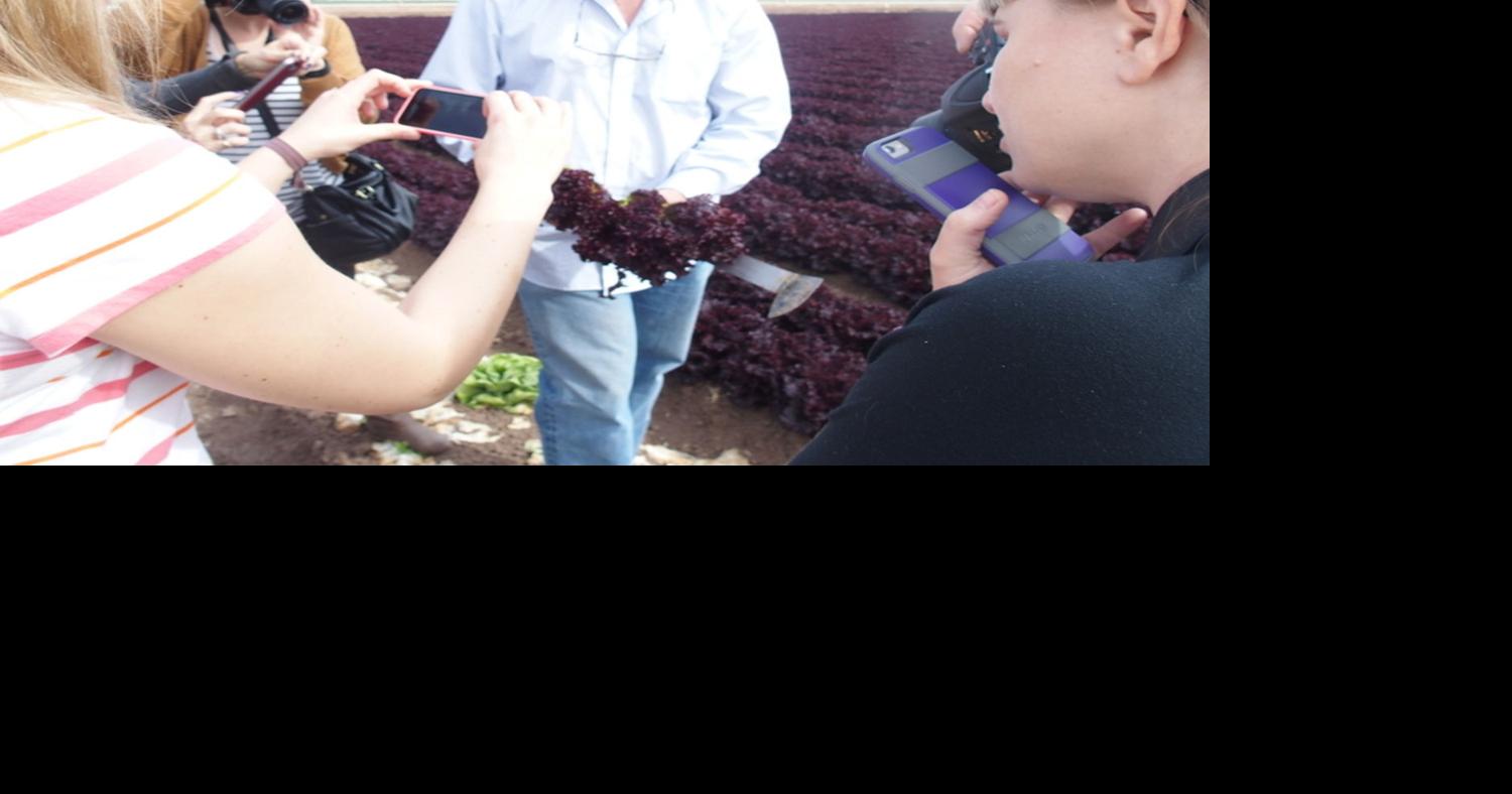 Food and lifestyle bloggers tour Lawrence Cox Ranches in Brawley