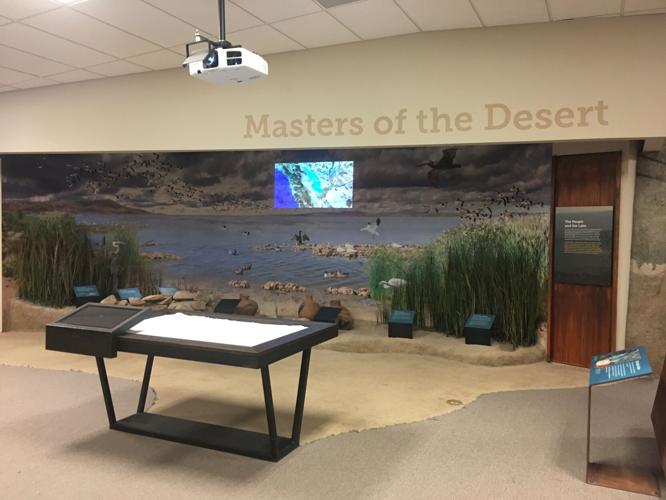 Lake Cahuilla Diorama located at Imperial Valley Desert Museum