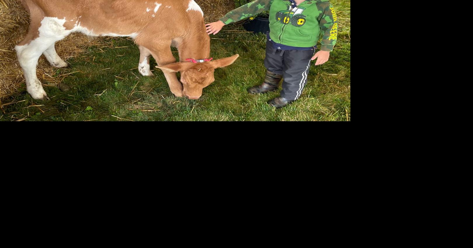 Sundae on the Farm held in Calumet County