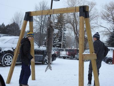 Sturgeon spearers find success on opening weekend