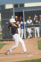 Tigers fall short again in baseball sectional final