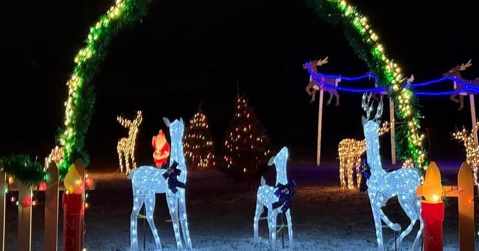 Calumet photo london christmas offers