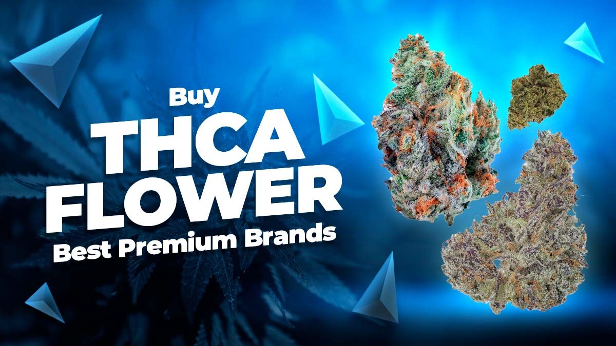 Buy THCA Flower: Ranking the Best Premium Brands | Cannabis |  iwantthenews.com