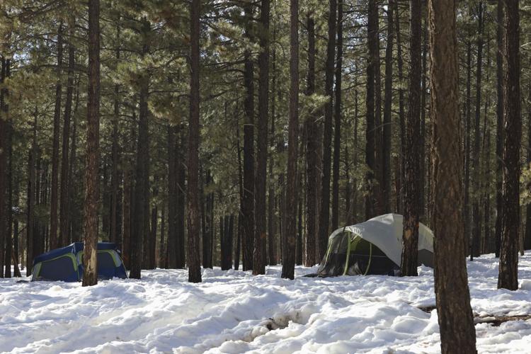 A guide to Flagstaff camping