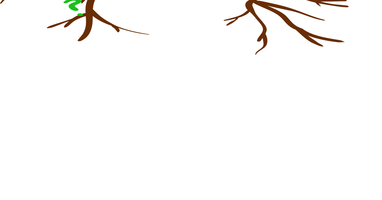 Know your roots to know yourself | Opinion | jackcentral.org