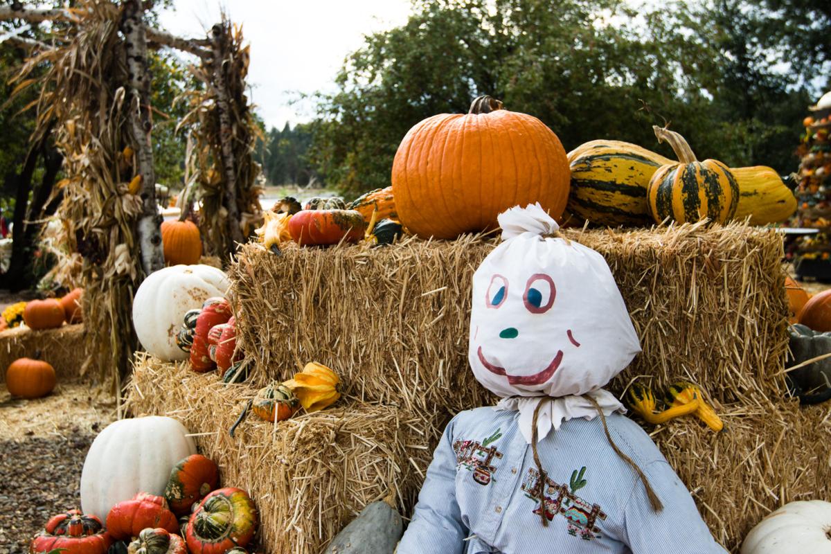 A monster mash at the pumpkin patch