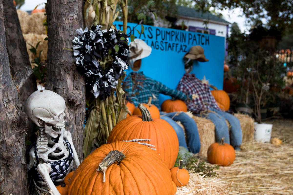A monster mash at the pumpkin patch