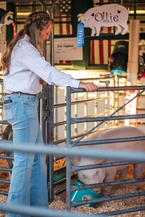 Coconino County Fair