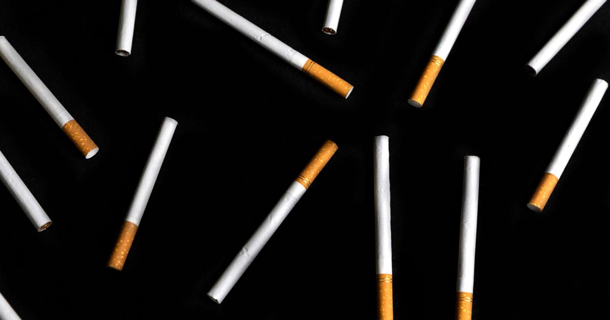 craft cigarettes Traditional Cigarette :: Original Camel Craft Menthol Hard Pack – 5 mg Tar Menthol Blend Cigarettes – Japanese Version 1 Carton (10 Hard Packs, 200 Sticks Total) — Free Worldwide Shipping - craft cigarettes Traditional Cigarette :: Original Camel Craft Menthol Hard Pack – 5 mg Tar Menthol Blend Cigarettes – Japanese Version 1 Carton (10 Hard Packs, 200 Sticks Total) — Free Worldwide Shipping -