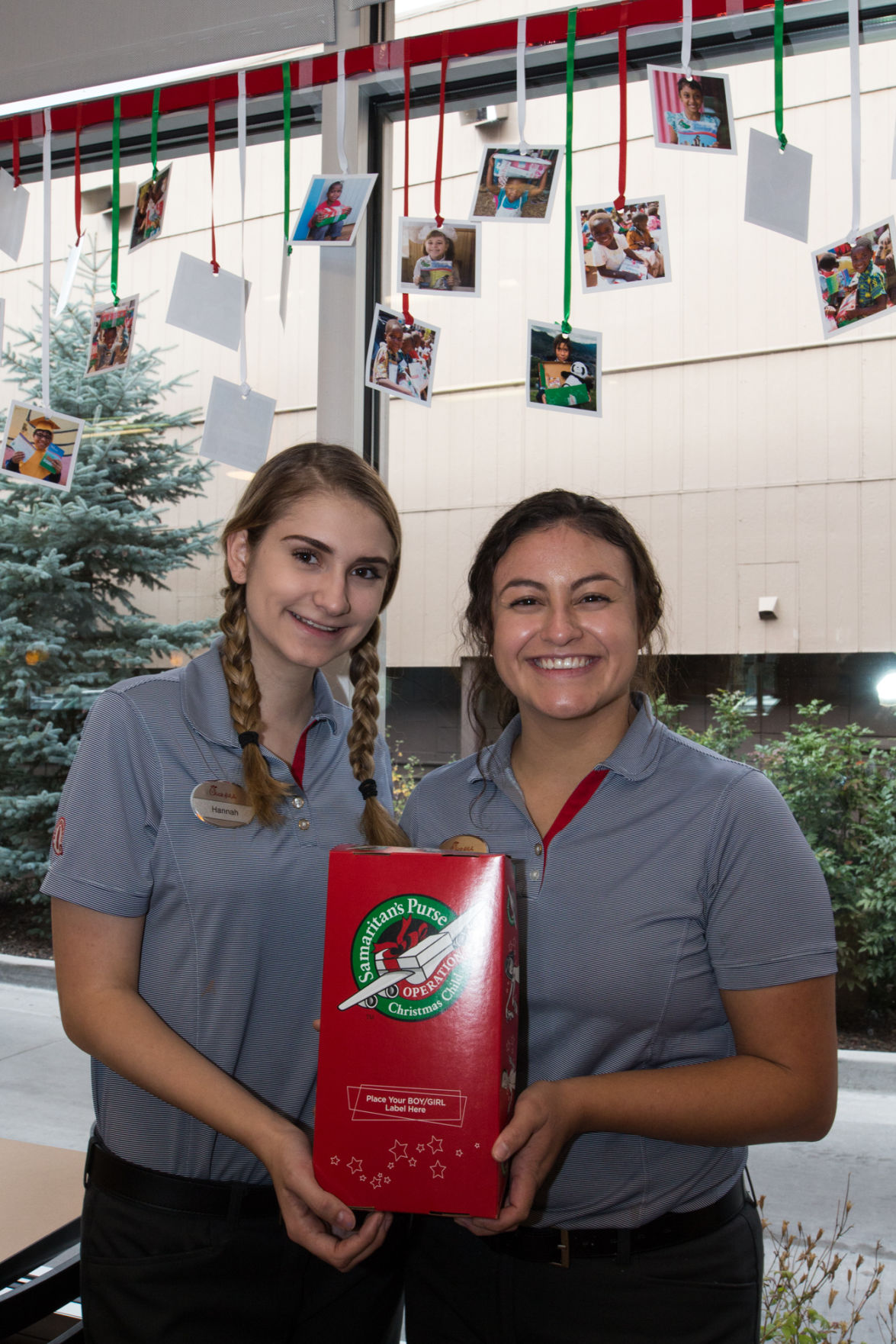 Chickens for the charitable on Christmas
