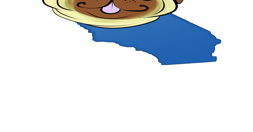 the-problem-with-the-pet-laws-opinion-jackcentral