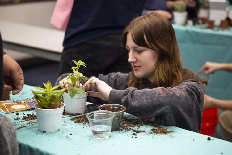 Destressing at the NAU Cozy Corner Culture