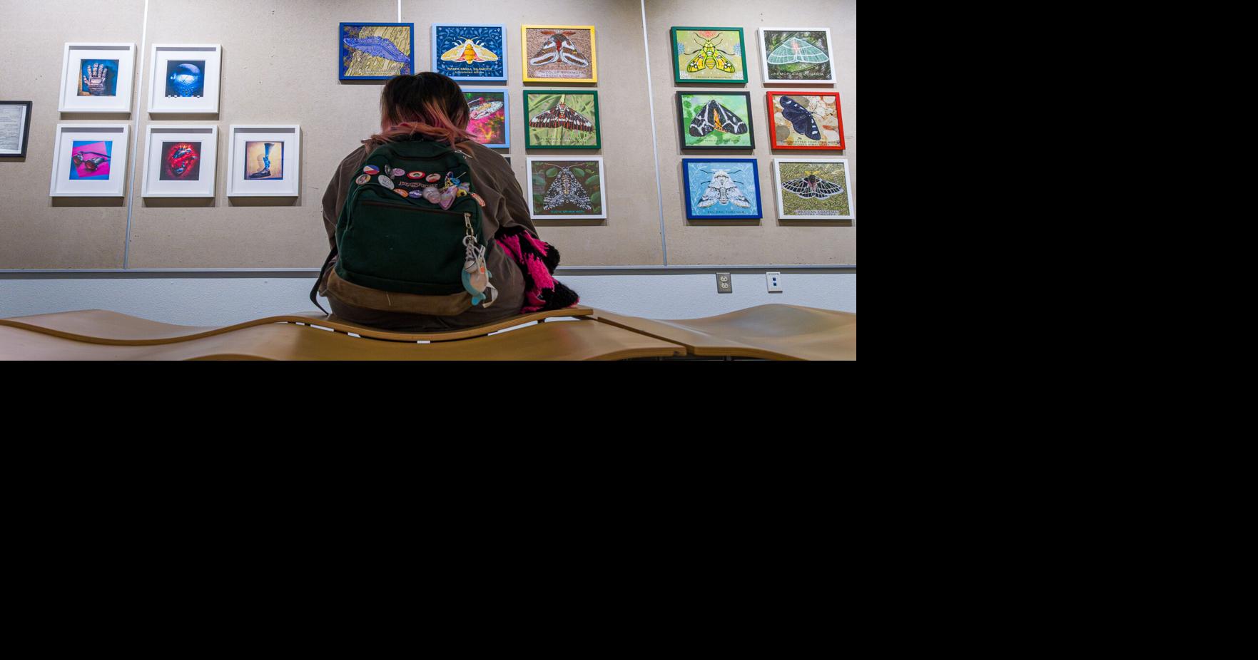 NAU professor examines the immensity of ecological art