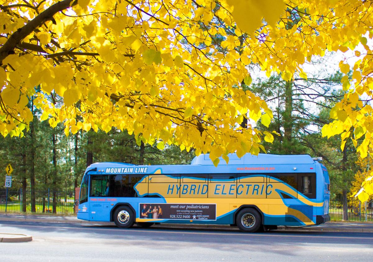 Flagstaff Mountain Line Bus Schedule