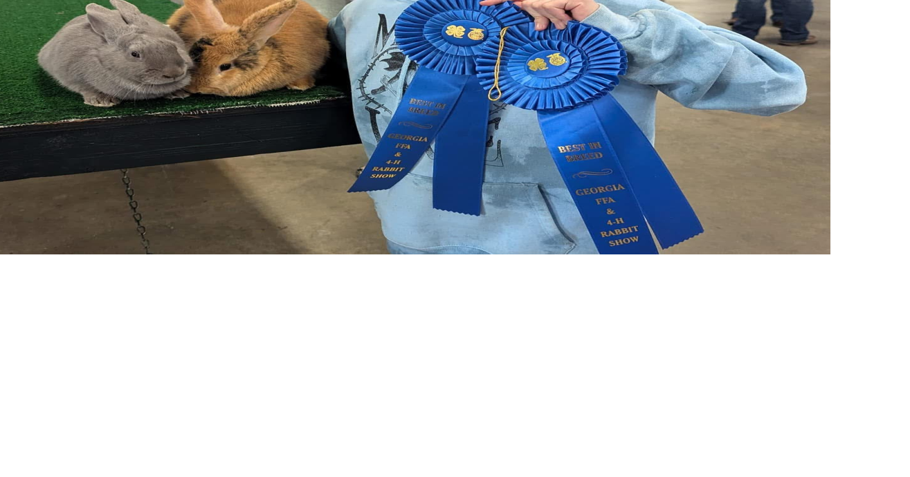 4-H member wins at Rabbit Show | News | jacksonprogress-argus.com