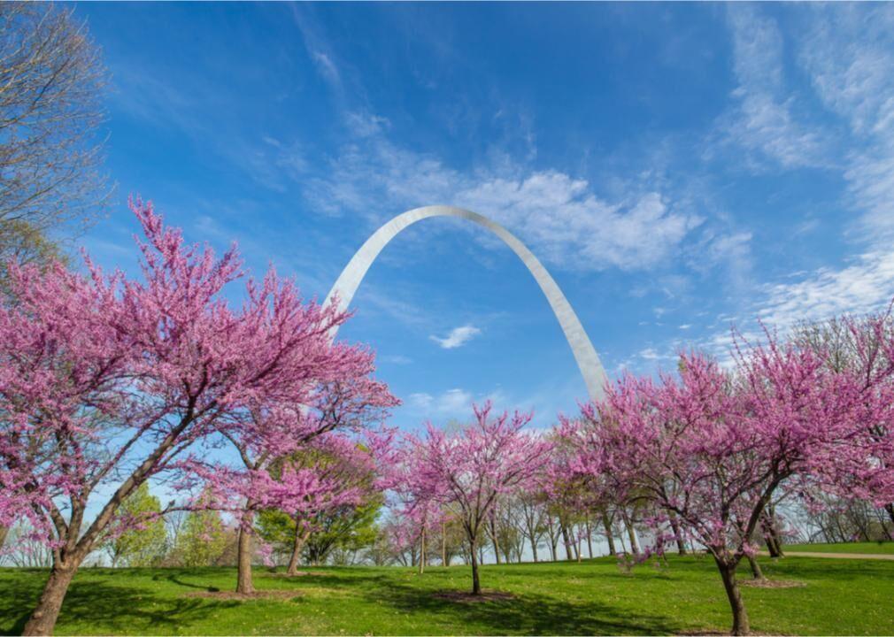 what-spring-looks-like-in-every-state-photos-jacksonprogress-argus