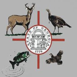 Georgia Department of Natural Resources reminds pet owners: Tag, register 'wild animal' reptiles - Vimarsana News