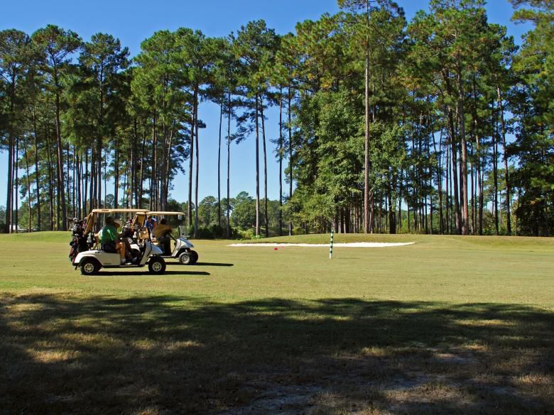 Special Events going on for Veterans Day