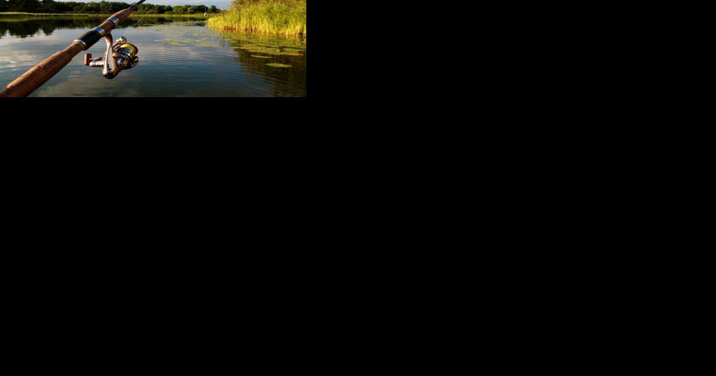 Georgia House committee passes fishing rights bill - Vimarsana News