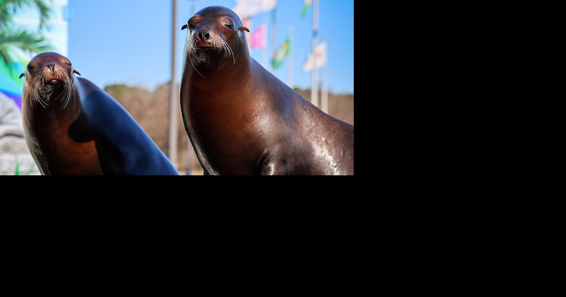 NASCAR weekend to feature action on and off the track