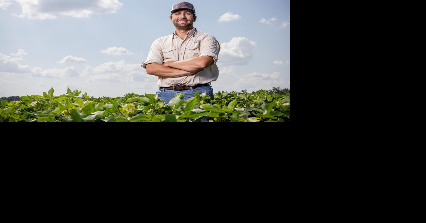 Field to fabric: UGA researchers innovate to secure the future of Southern cotton
