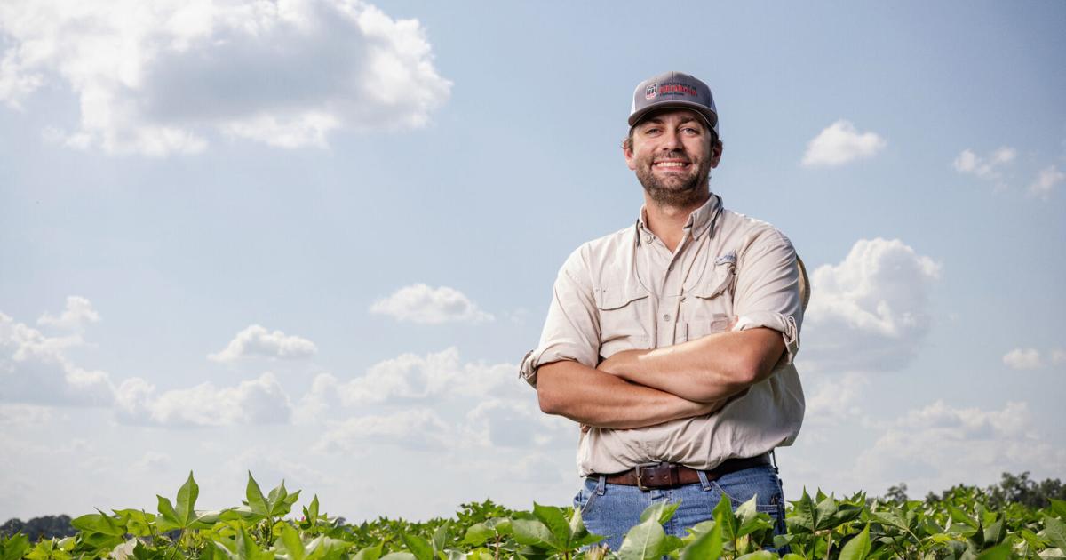 Field to fabric: UGA researchers innovate to secure the future of Southern cotton