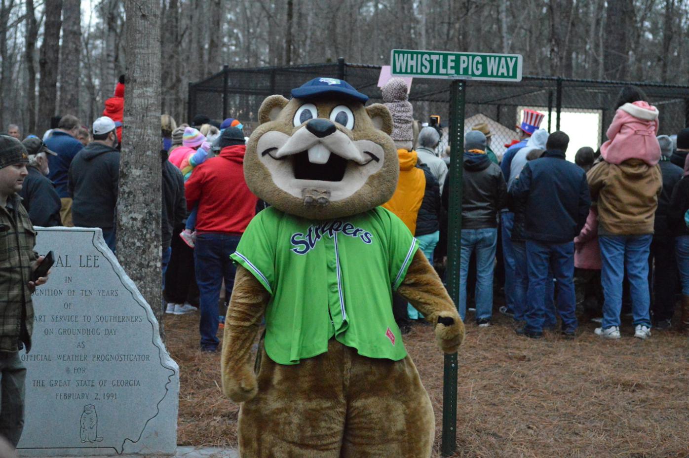 Gwinnett Braves' Groundhog Mascot Issues Weather Guarantee for Opening Day